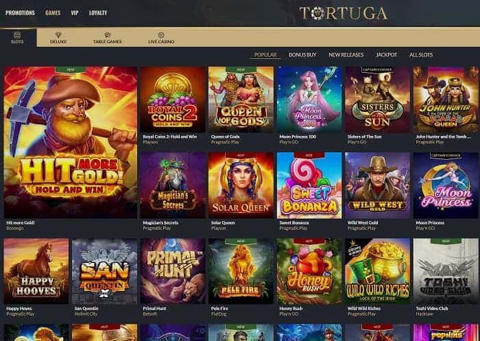 Tortuga casino application, tortuga casino connexion